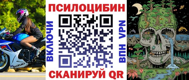 дарк нет телеграм  Собинка  Галлюциногенные грибы Psilocybine cubensis 
